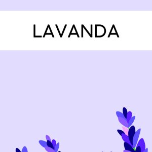 INCENSO LAVANDA