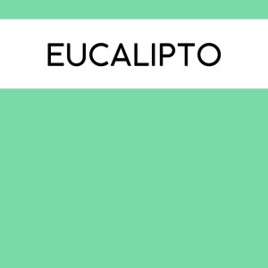 INCENSO EUCALIPTUS