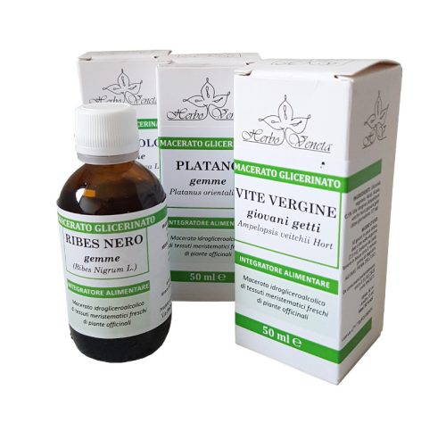 LAMPONE GIOVANI GETTI Rubus Idaeus L. 50 ml MG