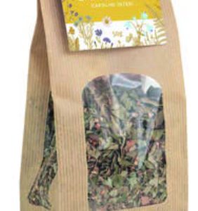 TISANA BIO CAMOMILLA SACCHETTO 40 GR