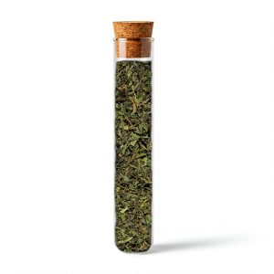 FIALA MENTA