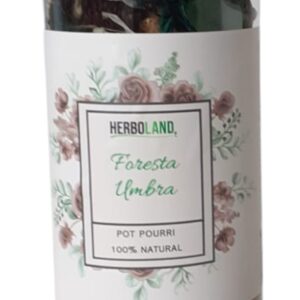 POT-POURRI FORESTA UMBRA BARATTOLO 60 GR