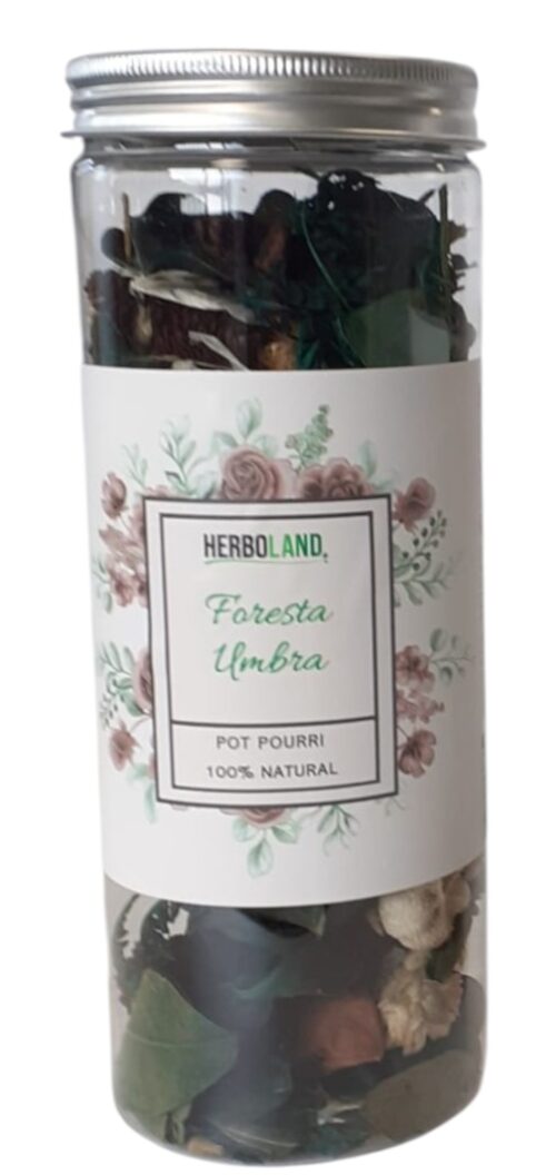 POT-POURRI FORESTA UMBRA BARATTOLO 60 GR