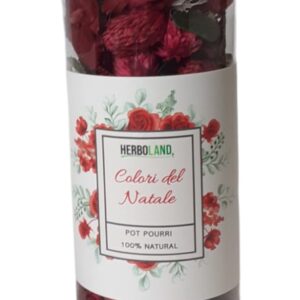 POT-POURRI COLORI DEL NATALE BARATTOLO 60 GR