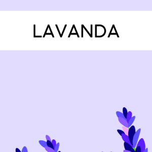 INCENSO LAVANDA
