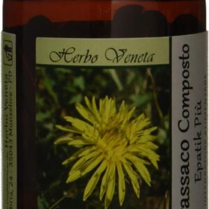 TARASSACO COMPOSTO EPATIK PIU' 100 CPS DA 500 MG