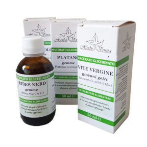 PINO GEMME Pinus Montana Mill. 50 ml MG